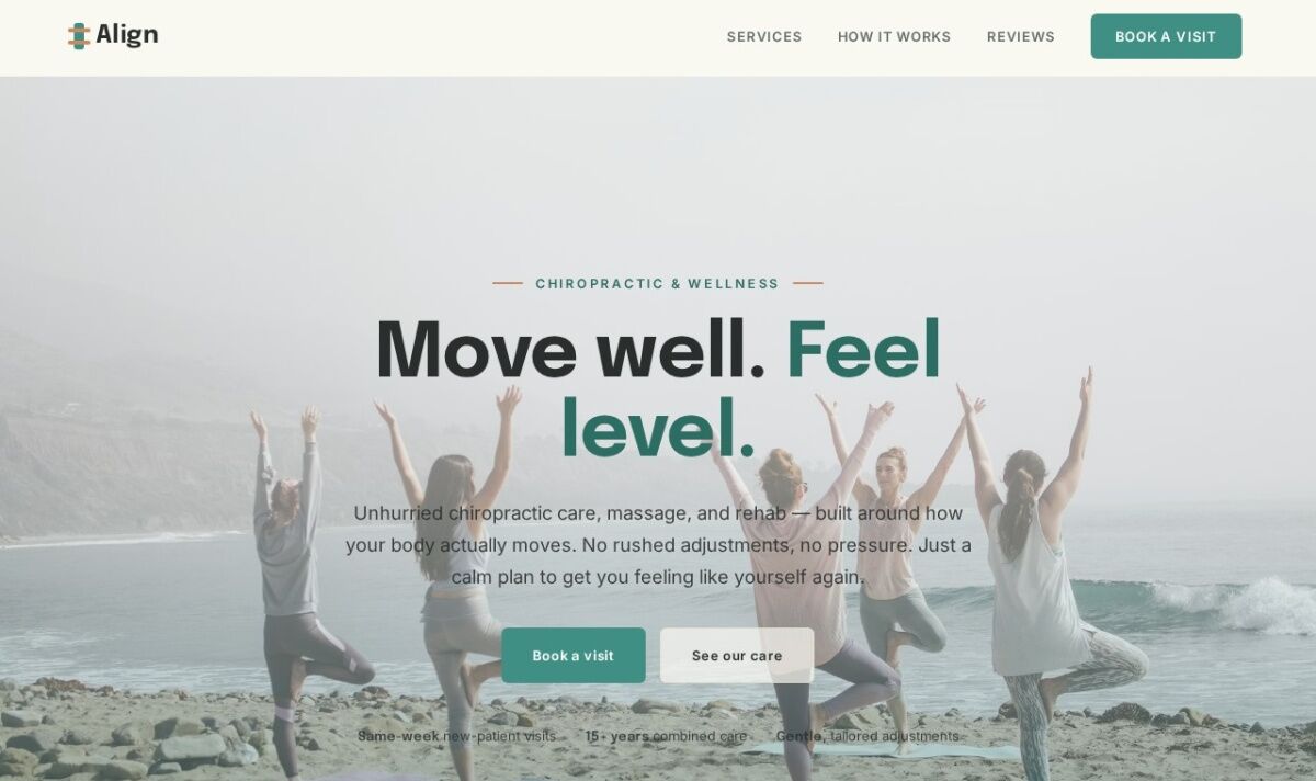 chiropractic website design — concept by Pittsburgh IT