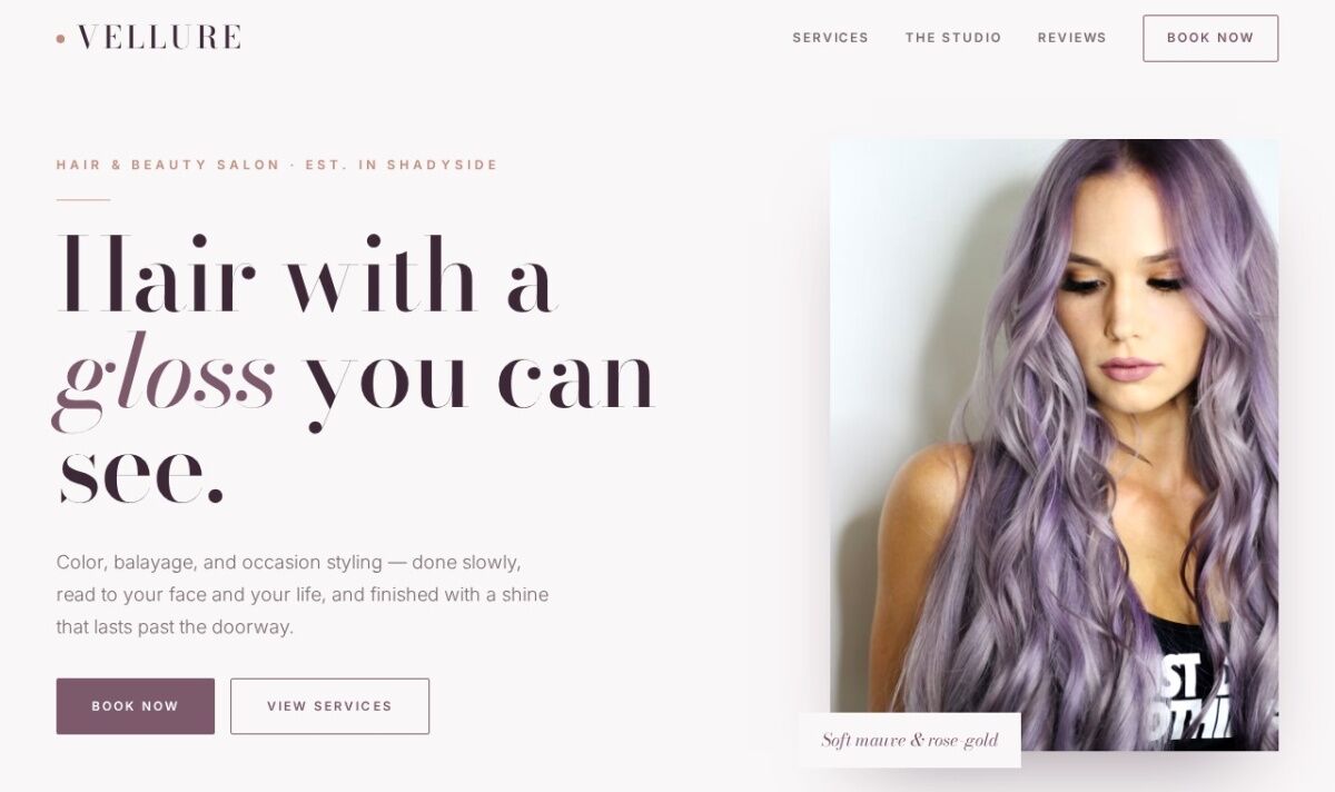 Vellure website design concept